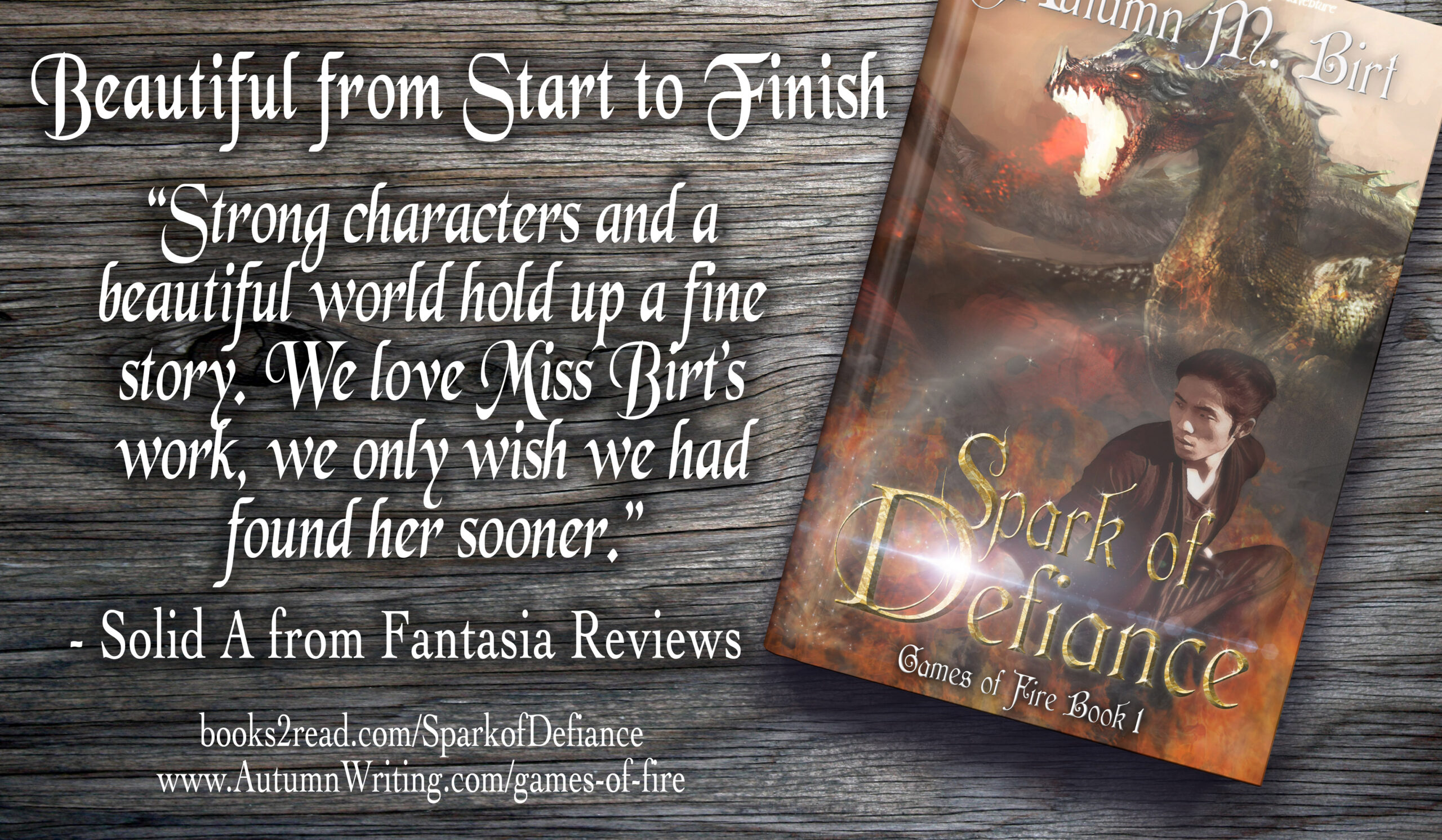 What Fantasia Reviews said about Spark of Defiance